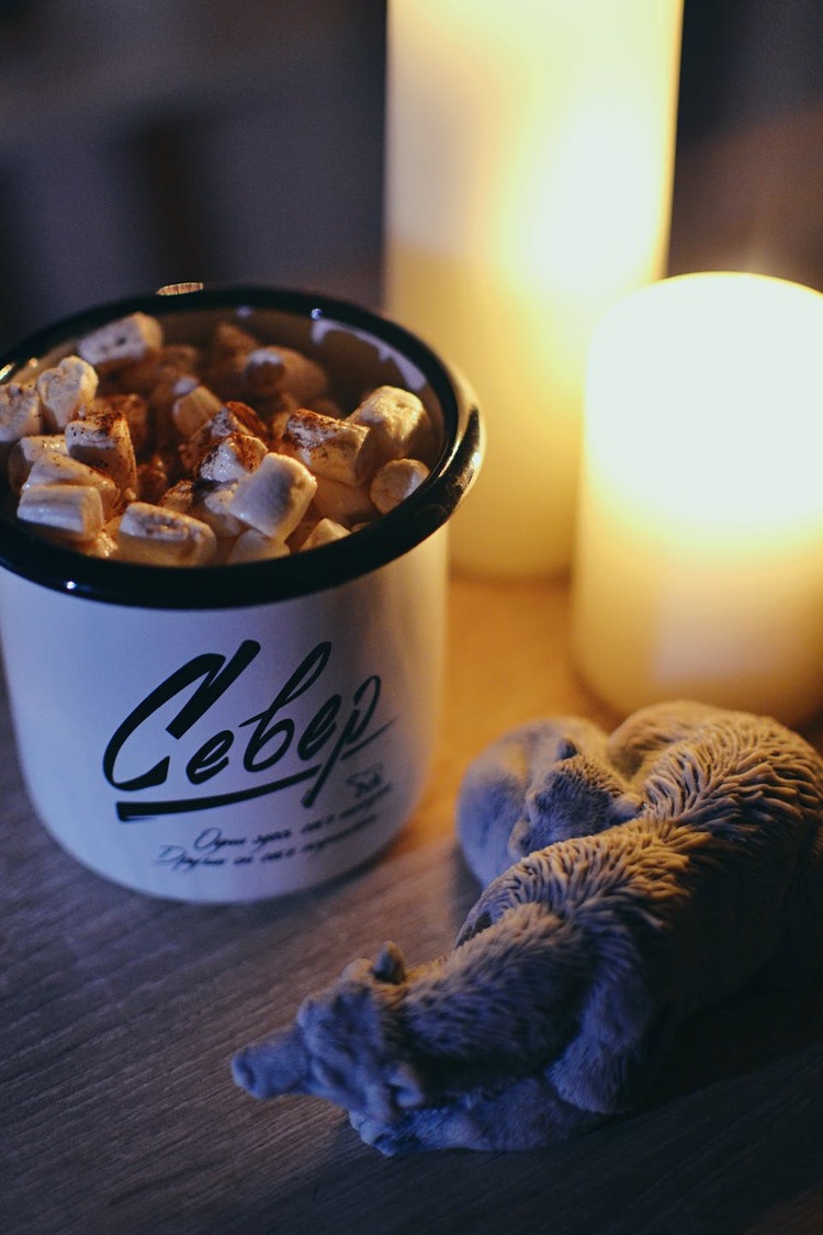 Mini Marshmallow Hot Chocolate with Cocoa Powder Recipe